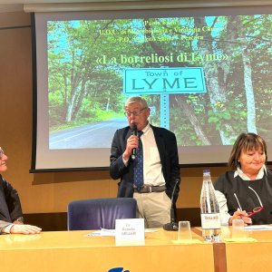 fazii seller e ceccagnoli